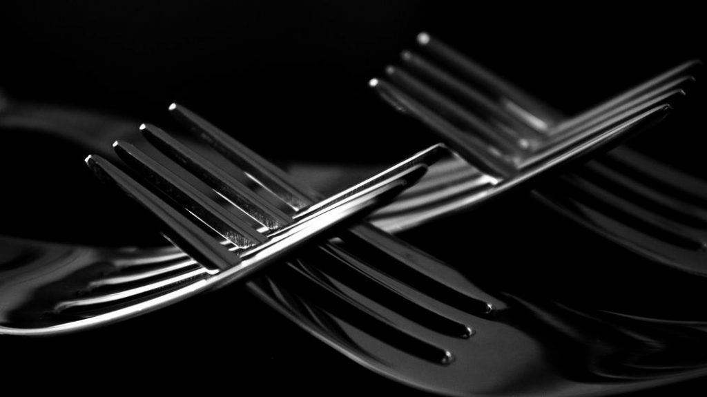forks-1024x575.jpeg