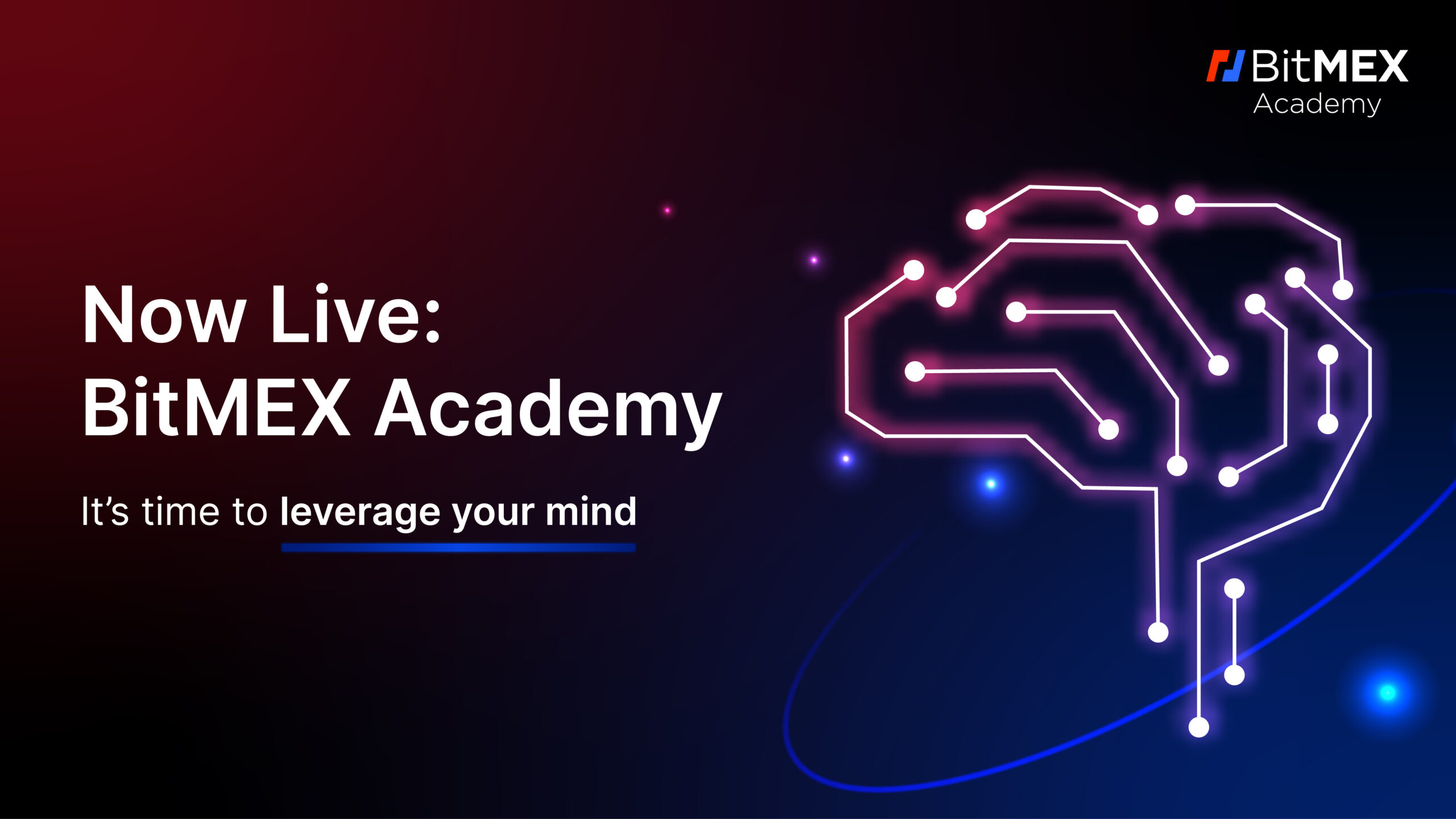 BitMEX Academy