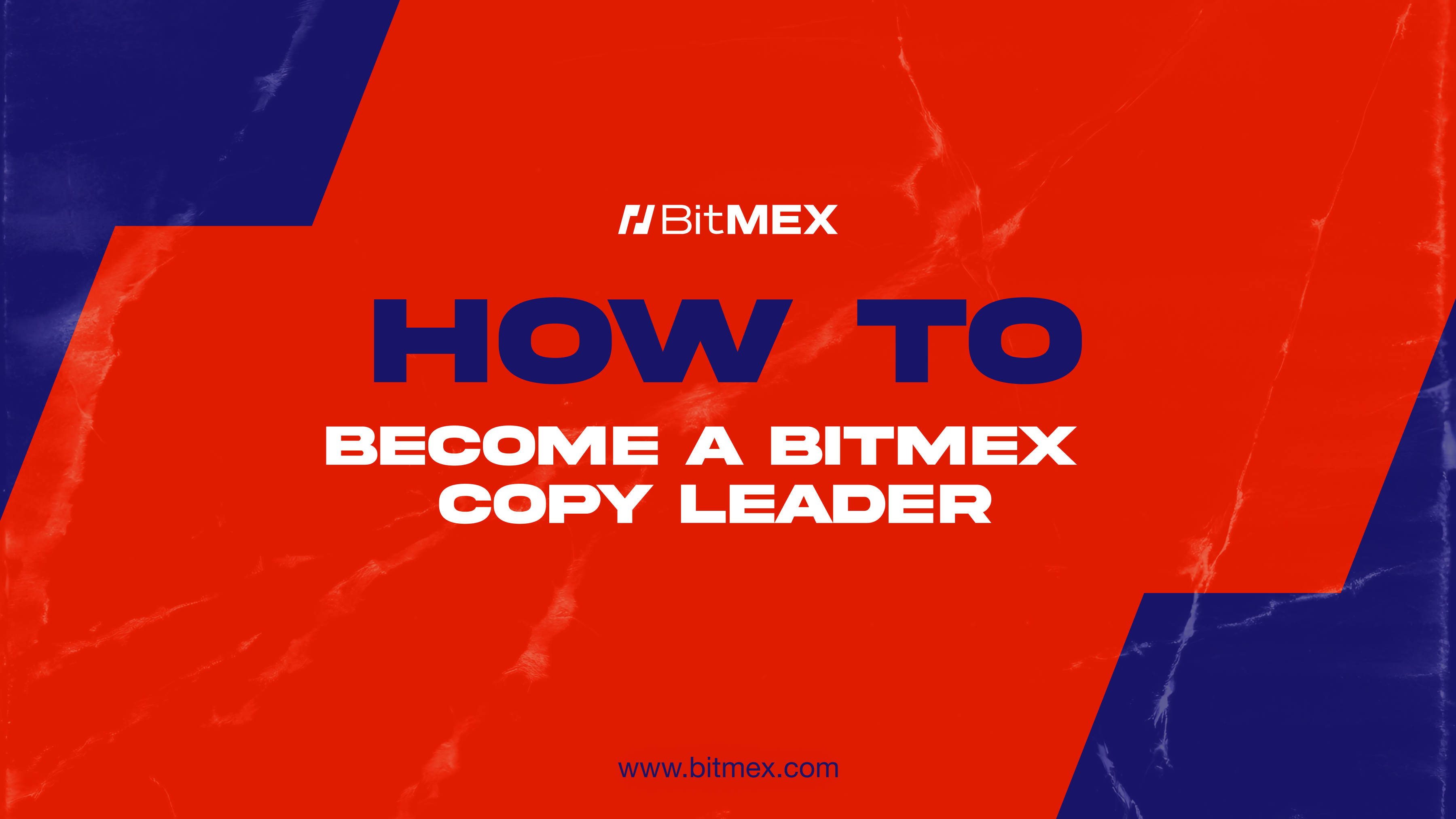 Become Copy Leader