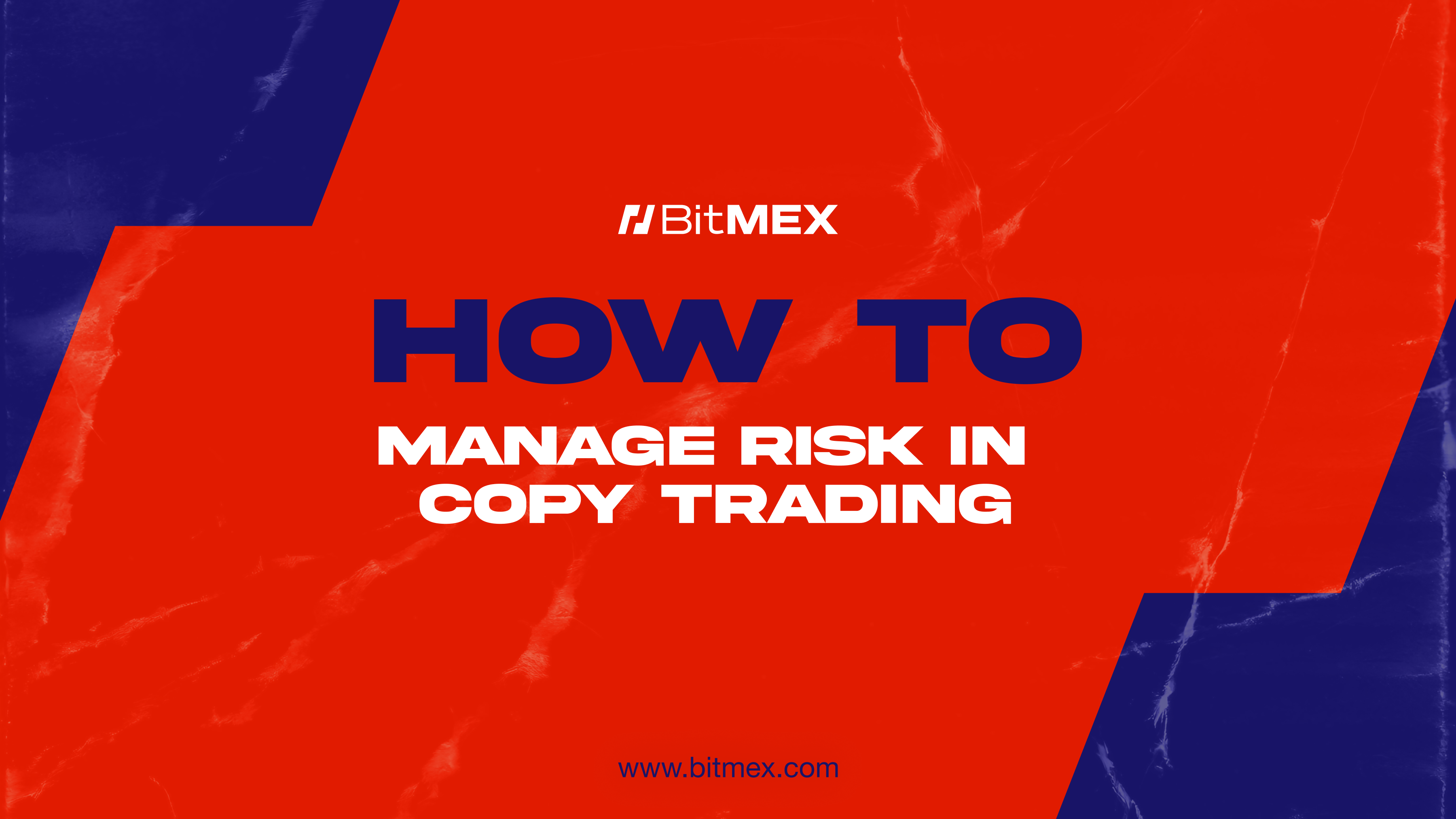 Managing Risks
